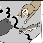 猫を蕩けさせる簡単な方法