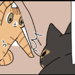 1人部屋がよかったらしい