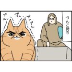 完璧に砂で隠したい猫vs早くとりたい人間