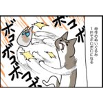 カメラ向けられると虚無になるタイプ