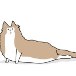 しっかり寝るべし