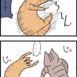 目があった瞬間降参
