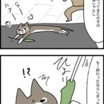 駄々っ子しゃらさん