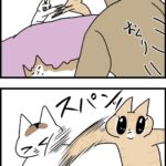 深夜キャットファイター
