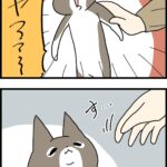触ると鳴くおもちゃみたいな