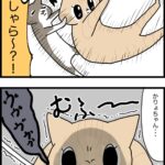 遊びたい欲高まり期