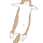 安心しすぎている件