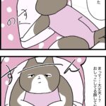 新しい猫ハウスを手に入れた！