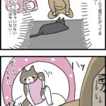 ボールと聞いて黙ってられない