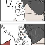 たまにくる猫アレルギーのあいつ