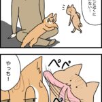 通りすがり親切