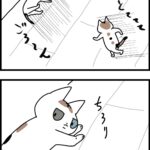 態度で伝えてくるタイプの猫