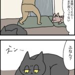 思わぬ被害者