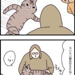 モテ期きました