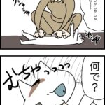 全力で気まぐれ…それが猫って事