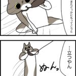 進化するおもしれー女