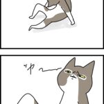 思ってたよりきつかったっぽい