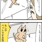猫に対して咄嗟に手が出ちゃうやつ