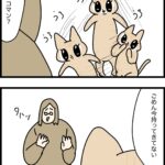 何もないと分かった瞬間の態度