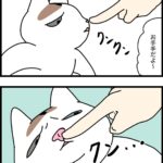 遠回しに臭いっていいたいのかどうなのか