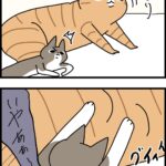 毎日見せつけられてます