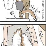 良い香りの正体