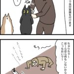 一度逃したが最後