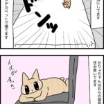 最近の茶トラブラザーズ