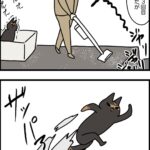 一回ごとに大惨事