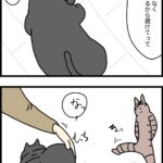 ルンバと猫の日々