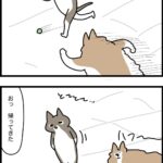 小さいボールブラックホールにのまれがち