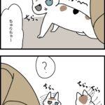 心を許されて来ている気がする