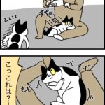 とりあえず最初に思う事