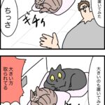 安住の地を求めて…