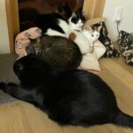 寒かったから満更でもなかったのか