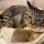 まったく原因不明である