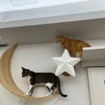 成長止まることを知らず