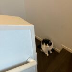 サンドバッグになれって事かもしれない