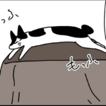 リビングから上の階に行くまでに何回かやる事