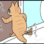 秒で終わった日向ぼっこ