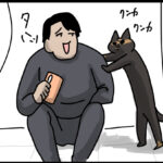 お約束の一連の流れ