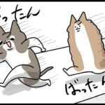 深夜の大運動会実況