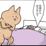 布団に入り慣れてなさすぎた