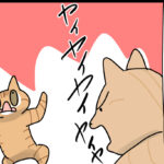 まぁまぁ誤魔化せるタイプ