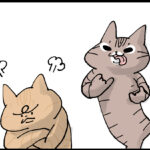 でも一緒の場所で寝てる