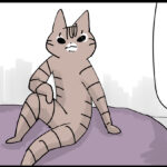 パーフェクトボディー