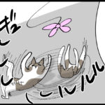 訳もわからない暴力がらいくんを襲う！