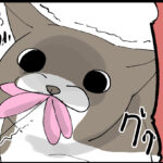 やる事がそっくり兄妹