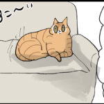 どちらかというとヨシヨシされたい派