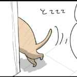 茶トラ達に訪れた変化